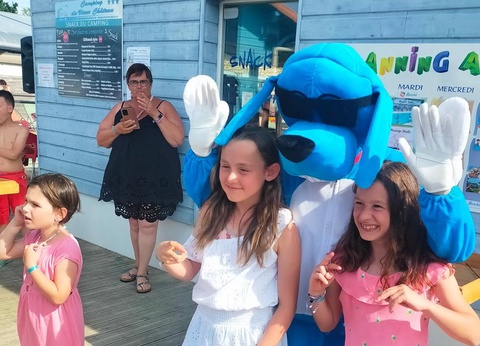 Camping du Vieux Château, 3* - 22