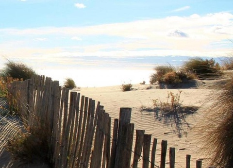 Camping Eden, 5* - 28