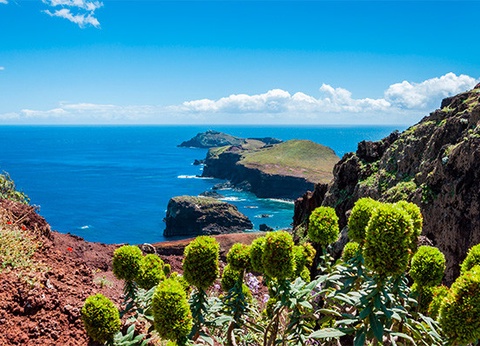 Circuit Madère Authentique : entre falaises et levadas **** - 22