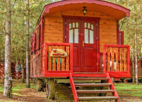 Prenez de la hauteur en famille en séjournant en cabane dans les arbres près de Poitiers - 4* - 10