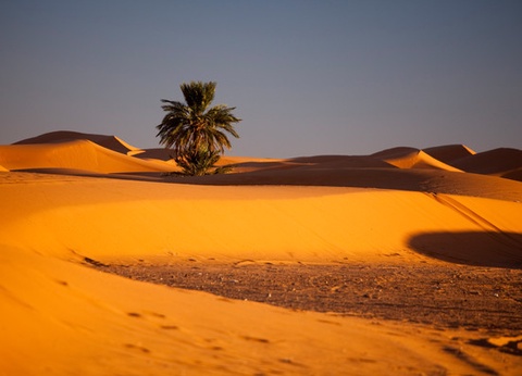 Circuit Marrakech et désert de Merzouga - 9