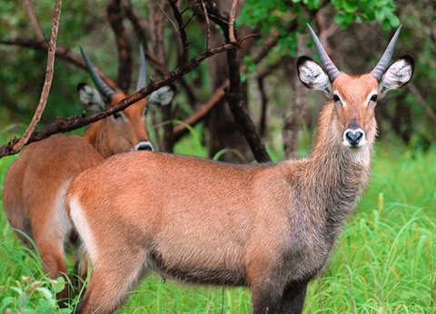 Circuit Sénégal intime et coloré du nord au sud *** - 12