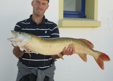 Camping Villa Campista, 3* - 38