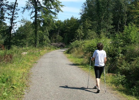 Camping L'Etang Aux Hirondelles, 2* - 12