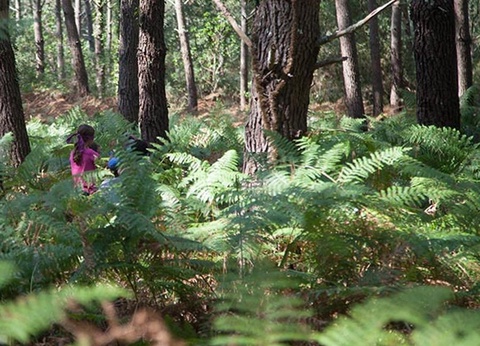 Camping Espace Blue Ocean, 4* - 42