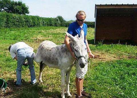 Camping La Ferme du Bord de Mer - 15