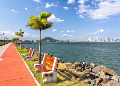 Circuit Panama, Couleur Café - 3