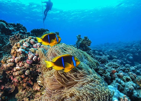 Circuit Divine Polynésie, de Tahiti à Bora Bora - 2