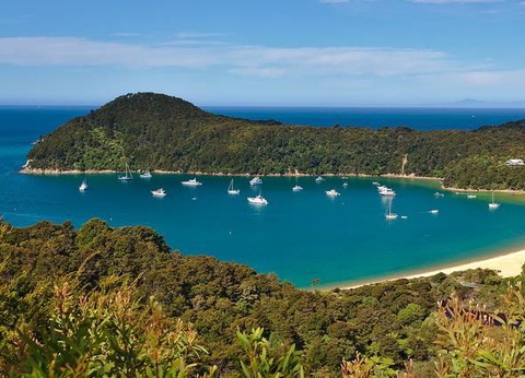 Circuit Fjords et Maoris - 21