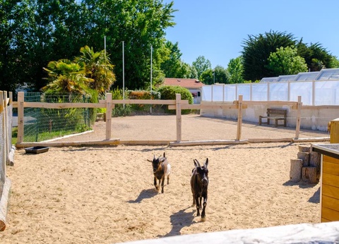 Camping Le Grand Pré - 4