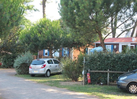 Camping Le Bosquet - 6