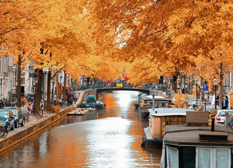 Séjourner dans le centre d'Amsterdam et visiter Keukenhof - 4* - 18