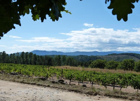 Camping Hello Soleil, 3* - 20