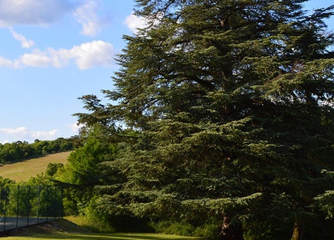 Camping Château de Lacomté, 4* - 35