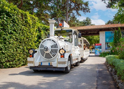 Camping Mare Pineta, 4* - 62