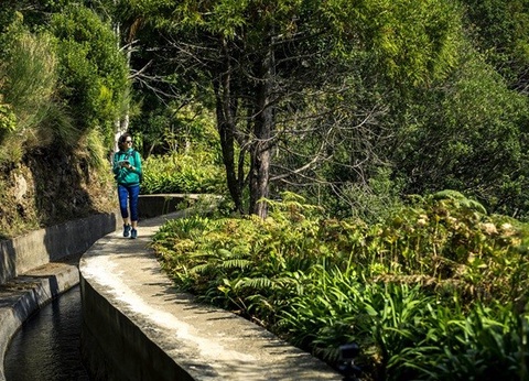 Circuit Madère Authentique : entre falaises et levadas *** - 17