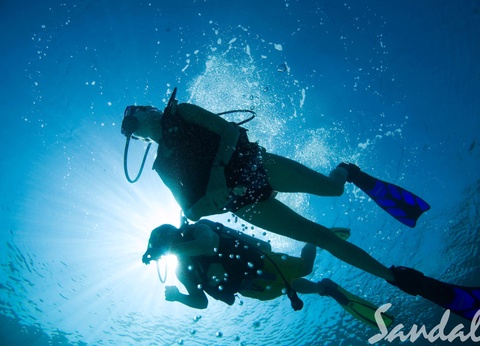 Hôtel Sandals Montego Bay 5* - 102