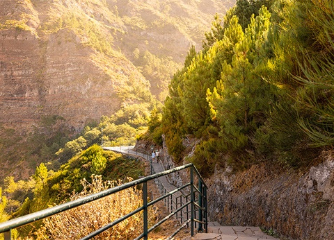 Circuit Madère Authentique : entre falaises et levadas **** - 2