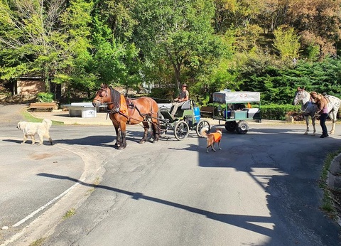 Camping Moulin de David 4* - 20