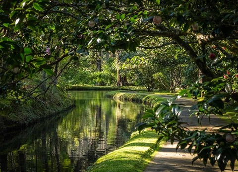 Autotour Détente et Découverte aux Açores - 3