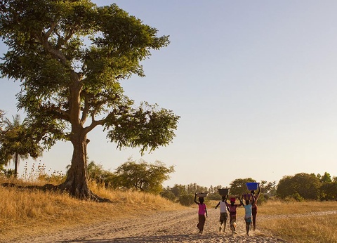 Combiné Circuit Merveilles du Sénégal 3* et Ôclub Experience African Village Bougainvillées 3* - 7