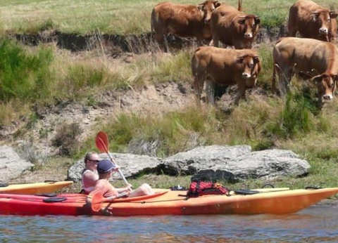 Camping Sites et Paysages - Beau Rivage, 4* - 71