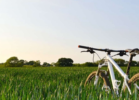 Séjour avec petit-déjeuner, et visite de cave de Champagne - 4* - 21