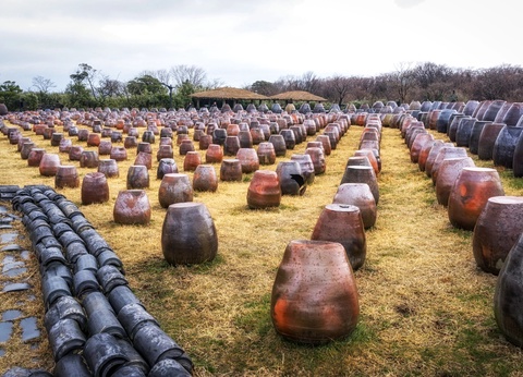 Combiné : La Grande Découverte du Japon et de la Corée en 3 semaines - 13