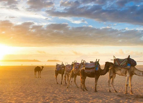 Combiné Ôclub Expérience Dunes d'Or 4* et Désert de Merzouga - 13