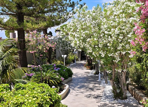 Hôtel Dolce Vita 4* - 6