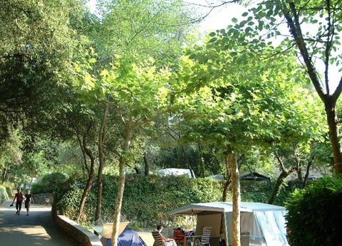 Camping Sites et Paysages - Les Pinèdes, 4* - 39