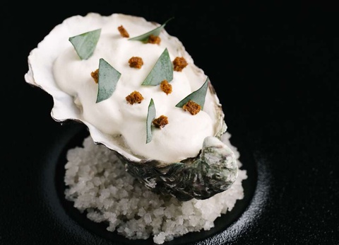 Séjour familiale à la découverte du Zoo la Bourbansais dans un hôtel de charme 4*+ Petit-déjeuner + Accès à l'espace détente + Sauna - 20