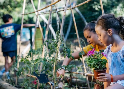 Camping Les Pins, 4* - 16