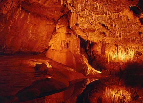 Camping Chateau de Fonrives, 5* - 59