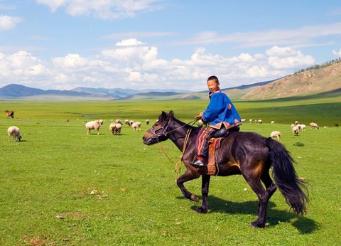 Circuit Immersion en Mongolie 9J/7N - 11