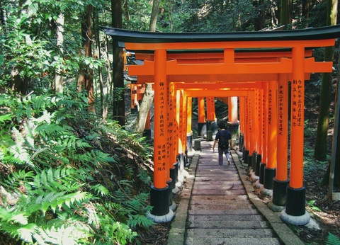 Splendeurs du Japon : Circuit individuel en 3* ou 4*- Entrée pour l’exposition universelle Osaka – Kansai 2025 - 13