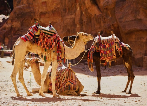 Circuit Privatif Les Merveilles de l'Orient 4* - 12