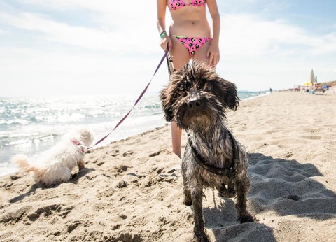 Gitavillage Le Marze - 13