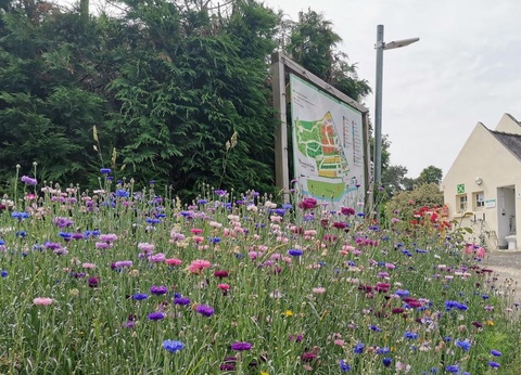 Camping Domaine de Kerelly, 3* - 18