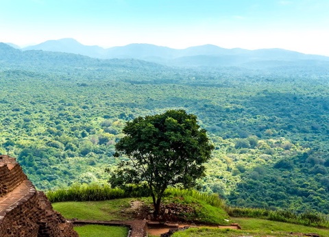 Circuit Splendeurs Insolites de Ceylan - 9