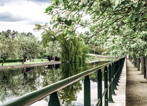 Escapade dans la tranquilité de Han-sur-Lesse + bouteille de cava dans la chambre - 3* - 17