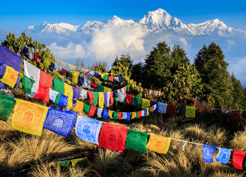 Circuit Sur les routes du Népal - 4