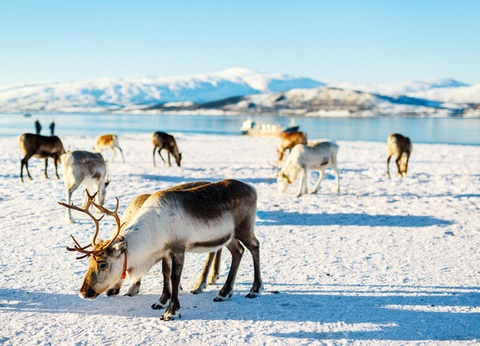 Circuit Aventure Polaire - 9