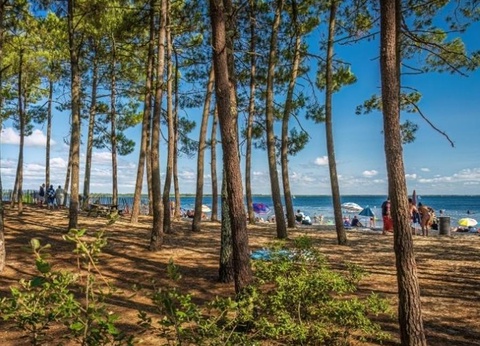 Camping L'Orée Du Bois, 4* - 45