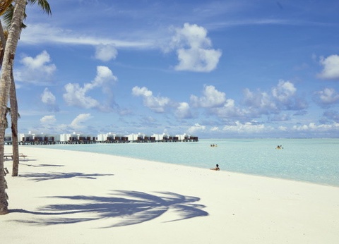 Hôtel Riu Atoll 4* - 2