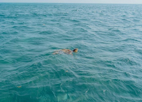 Circuit Privatif Trésors Mayas & Douceur des Caraïbes - 3