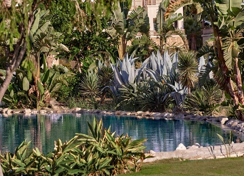 Hôtel Grecotel Luxme Kos 5* - 8