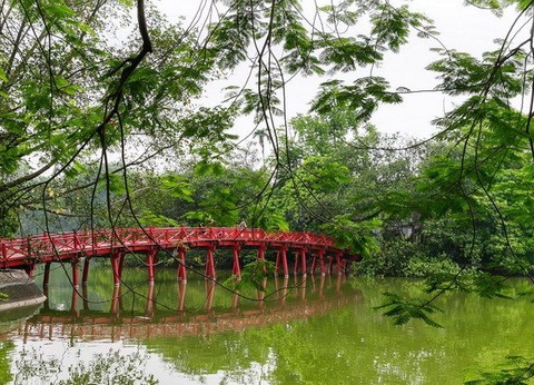 LA CANTATE EXT HALONG PT SUPERIEUR CAT DELUXE - 15