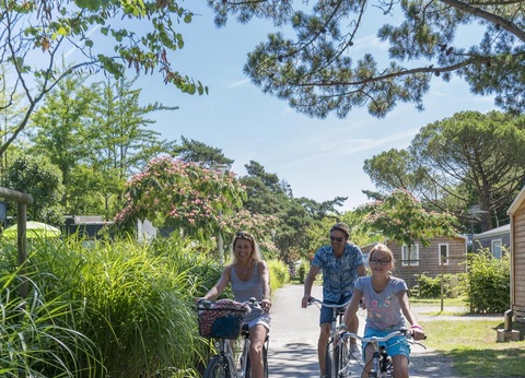 Camping Nantes Camping, 5* - 15