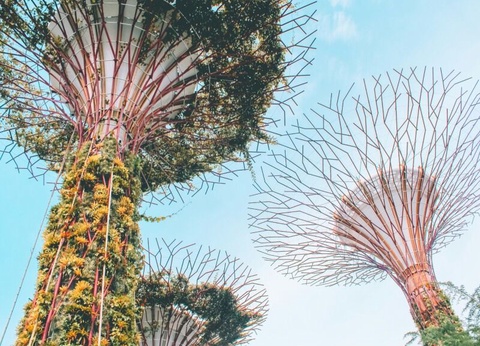 Circuit Australie et Singapour : La route des merveilles en 4* - 3